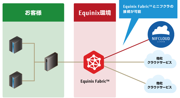 プライベートアクセス for for Equinix Fabric™ イメージ